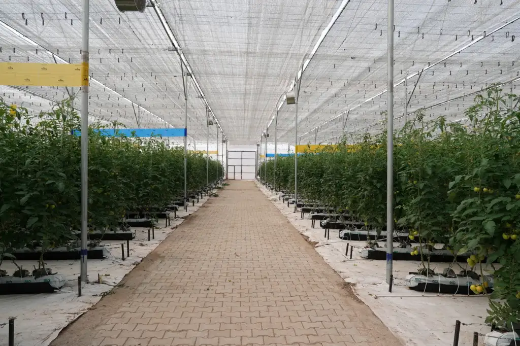弱电布线系统机柜上架标准化流程及标签标识管理实践