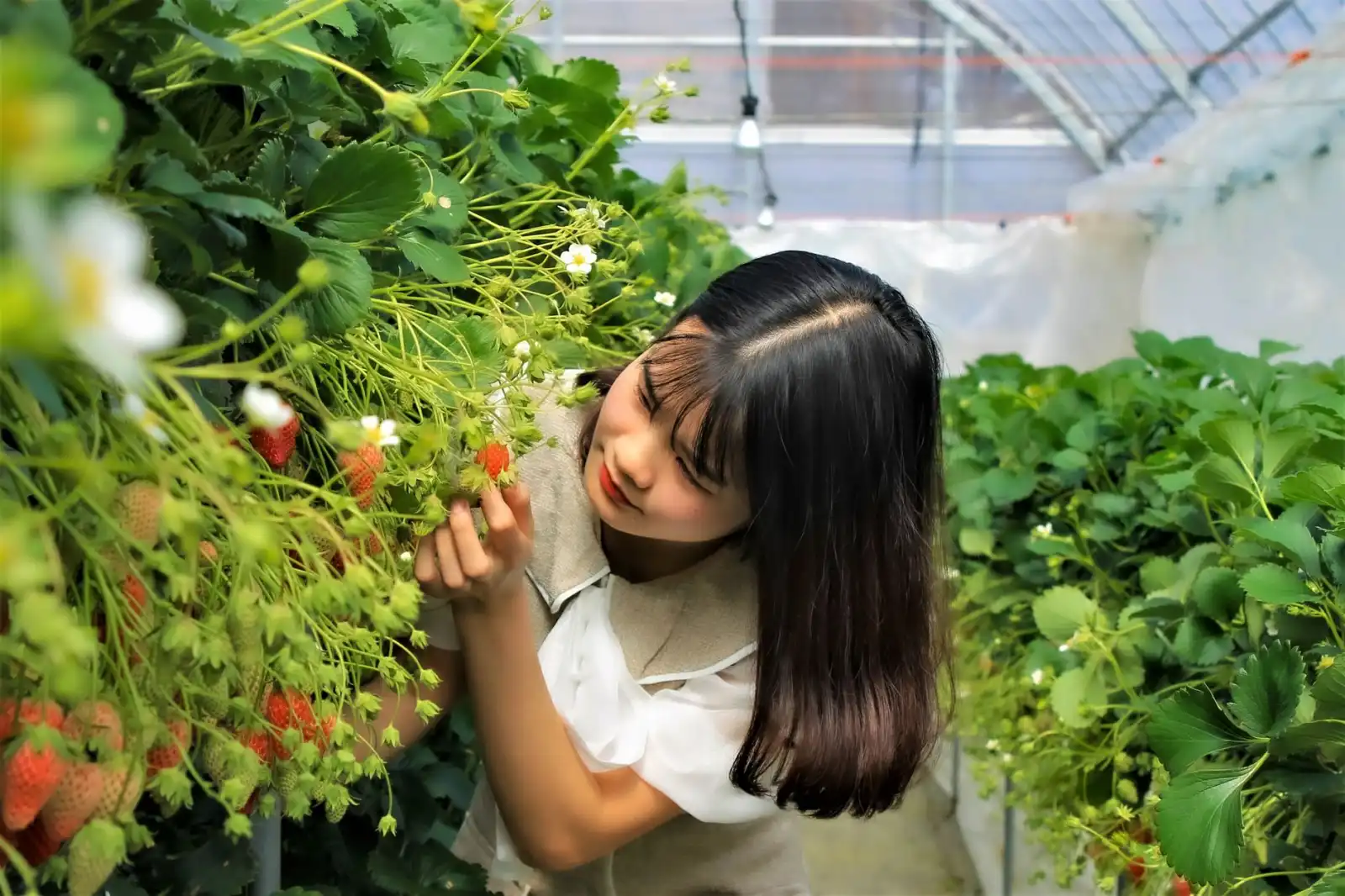 百色光纤熔接工程常见问题及施工质量验收标准