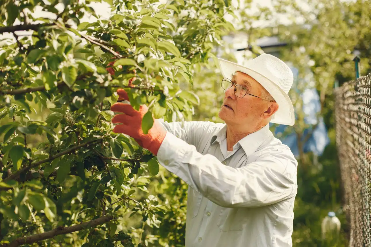 桥架安装与机柜上架施工规范及常见问题处理方案